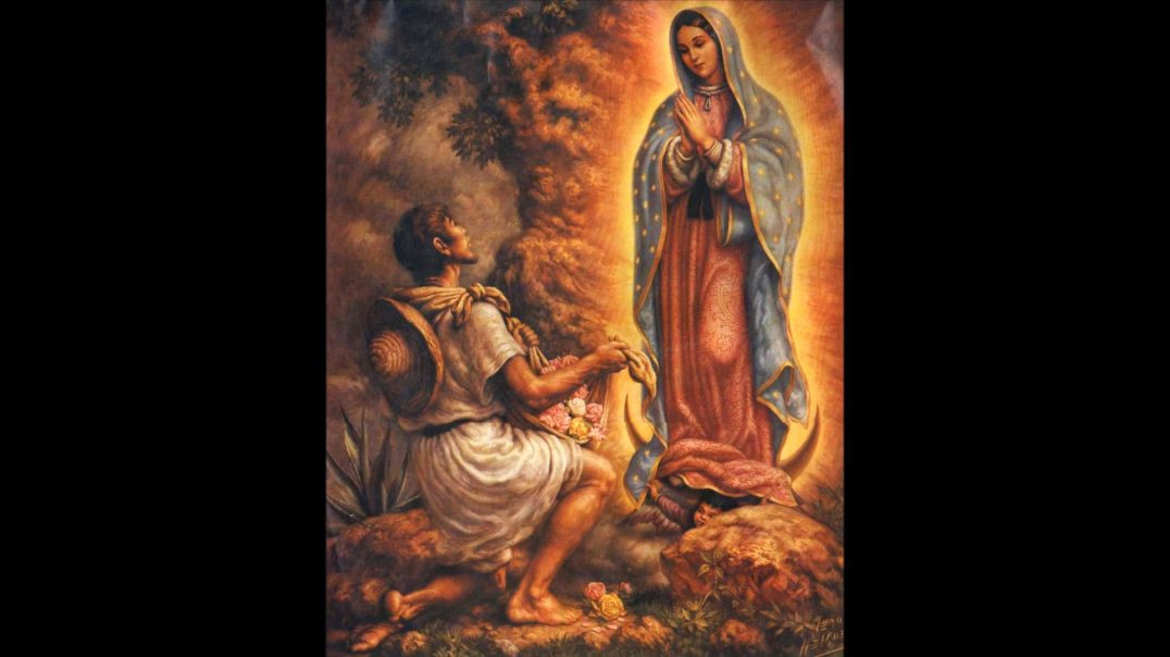 Apparition of Our Lady of Guadalupe