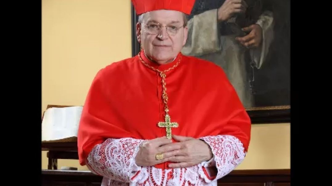 Cardinal Burke Q & A