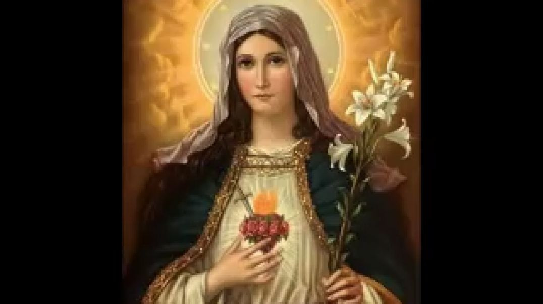 ⁣La verdadera devoción a María Santísima