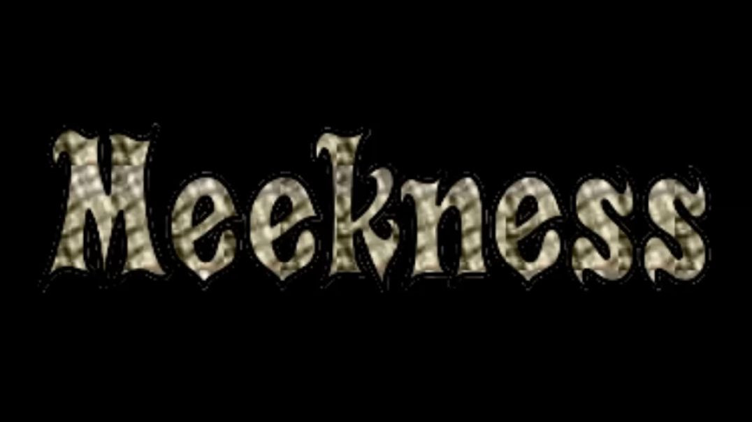 Meekness Restores the Moral Order of the Universe