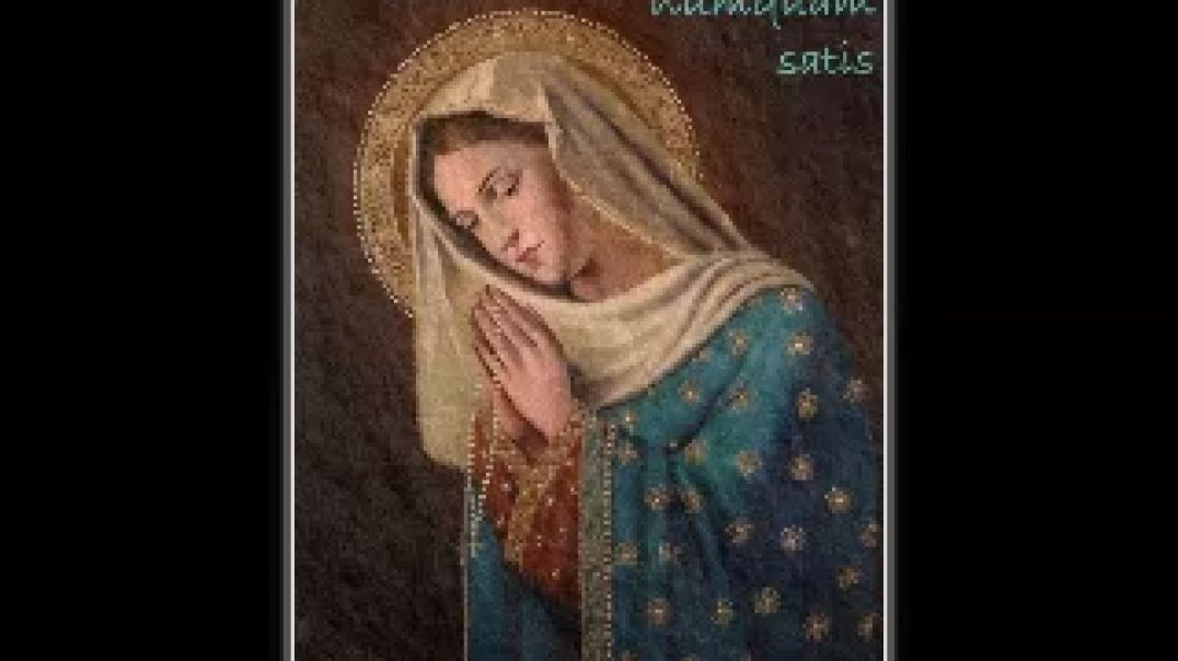 ⁣Verdadera devoción a María Santísima