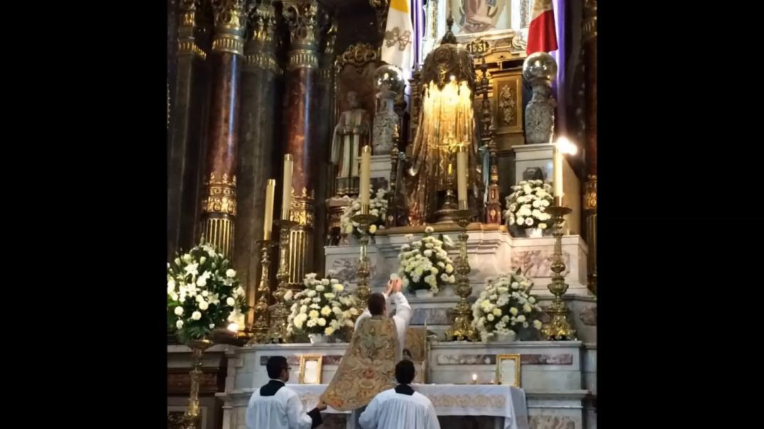 ⁣The Latin Mass: Collecting the Available Graces at Mass