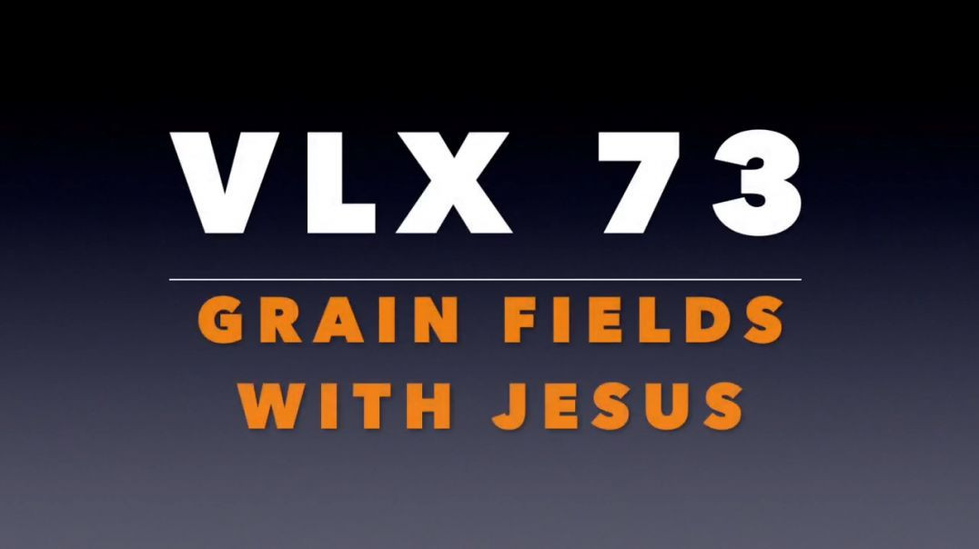 VLX 73_ Grain Fields with Jesus