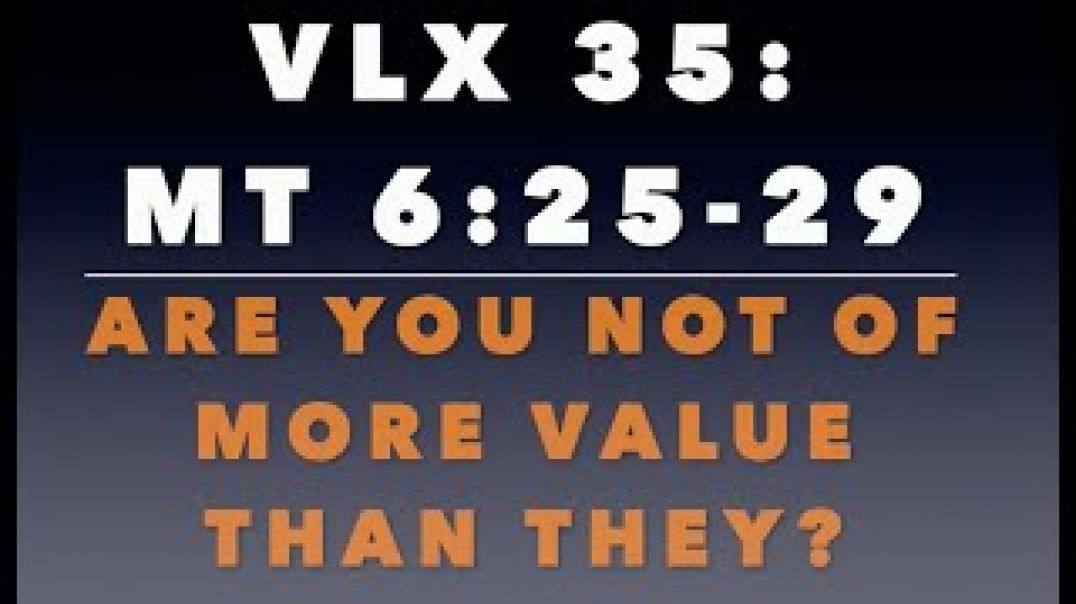 VLX 35: Mt 6:25-29