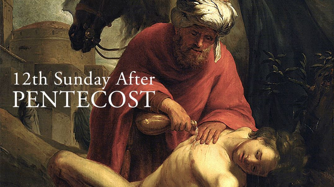 ⁣Fr. Robert Morey — 12th Sunday After Pentecost