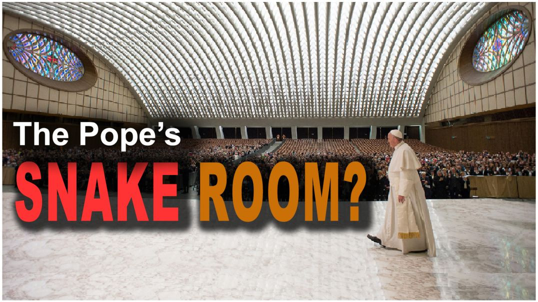 ⁣The Pope's Snake Room?