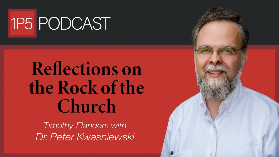 ⁣Reflections on the Rock of the Church