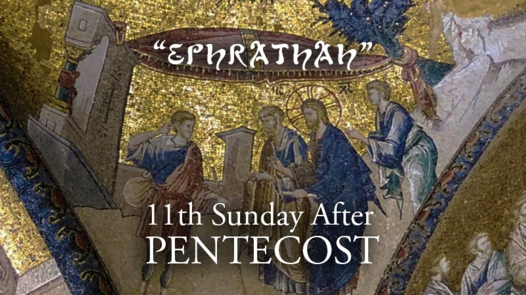 11th Sunday After Pentecost — Fr. Robert Morey