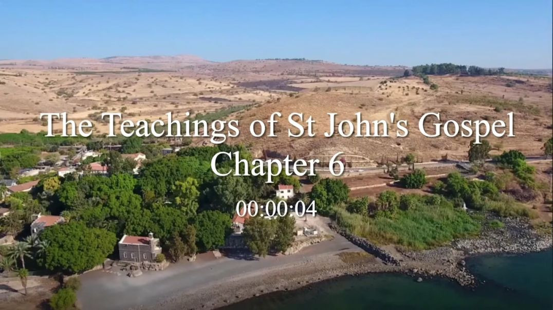 ⁣Gospel of St. John - Chapter 6: - Bible Study