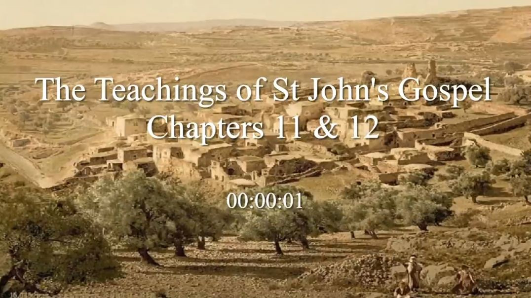 ⁣Gospel of St. John - Chapter 11 & 12: Bible Study