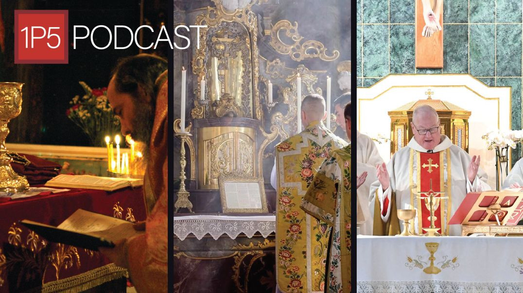 ⁣Two Brothers and a Stranger: the Latin Mass, the Divine Liturgy, and the Novus Ordo