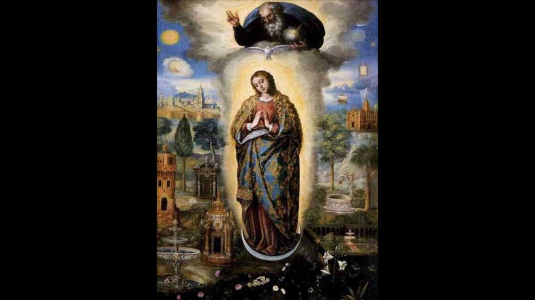 The Immaculate Conception of the B.V.M - Be Immaculate Like the Immaculate