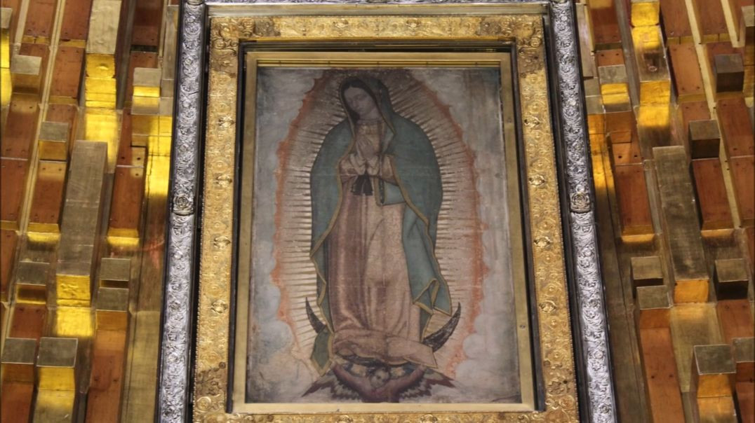 ⁣Our Lady Of Guadalupe to the Rescue