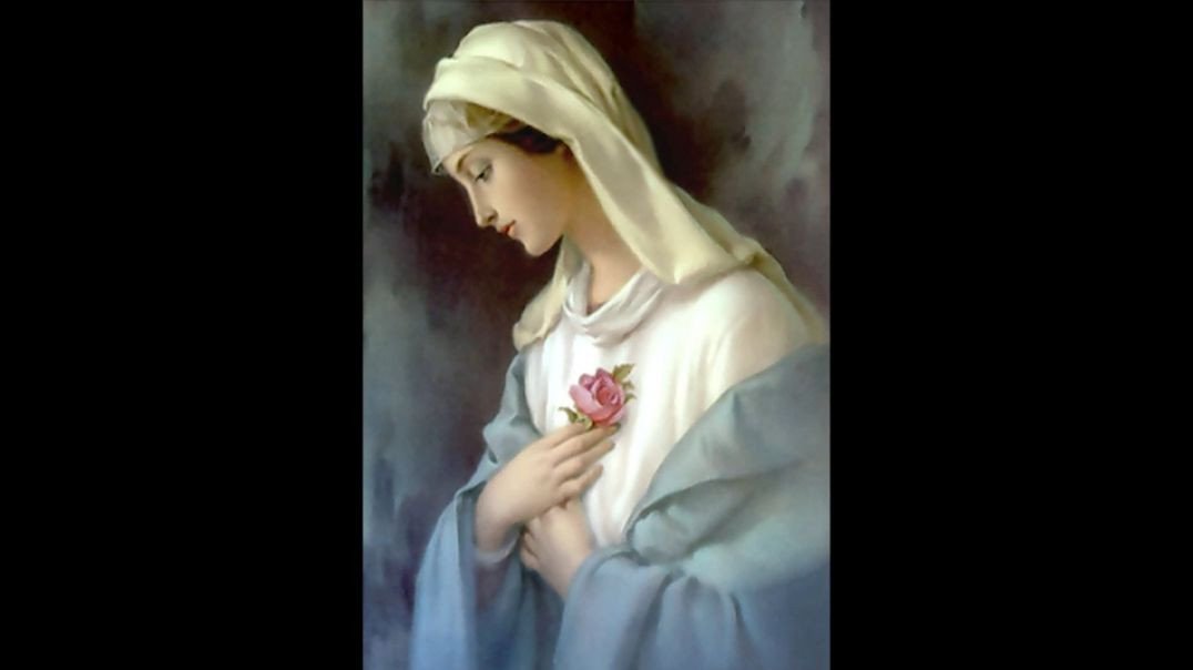 ⁣Novena to the Immaculate Conception: Mystical Rose