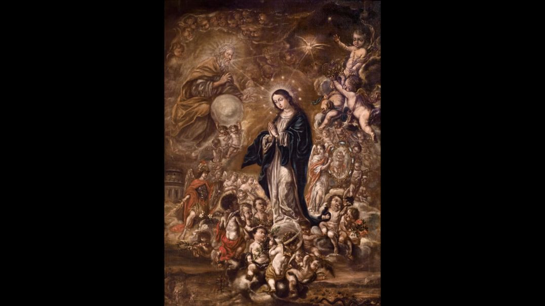 ⁣Novena to the Immaculate Conception (29 November): Mirror of Justice, Cause of Our Joy