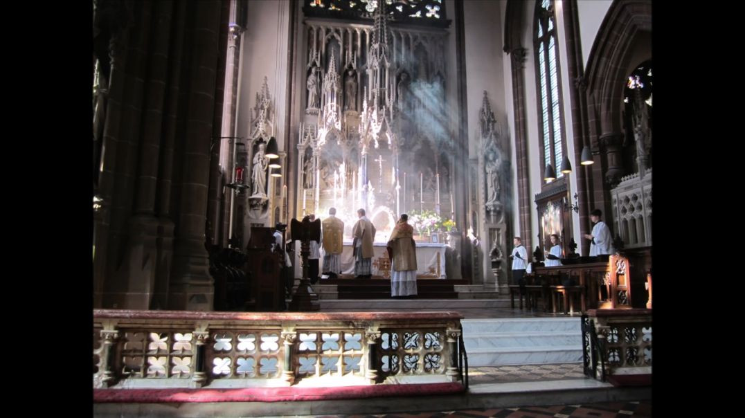 Adore God: The Holy Mass