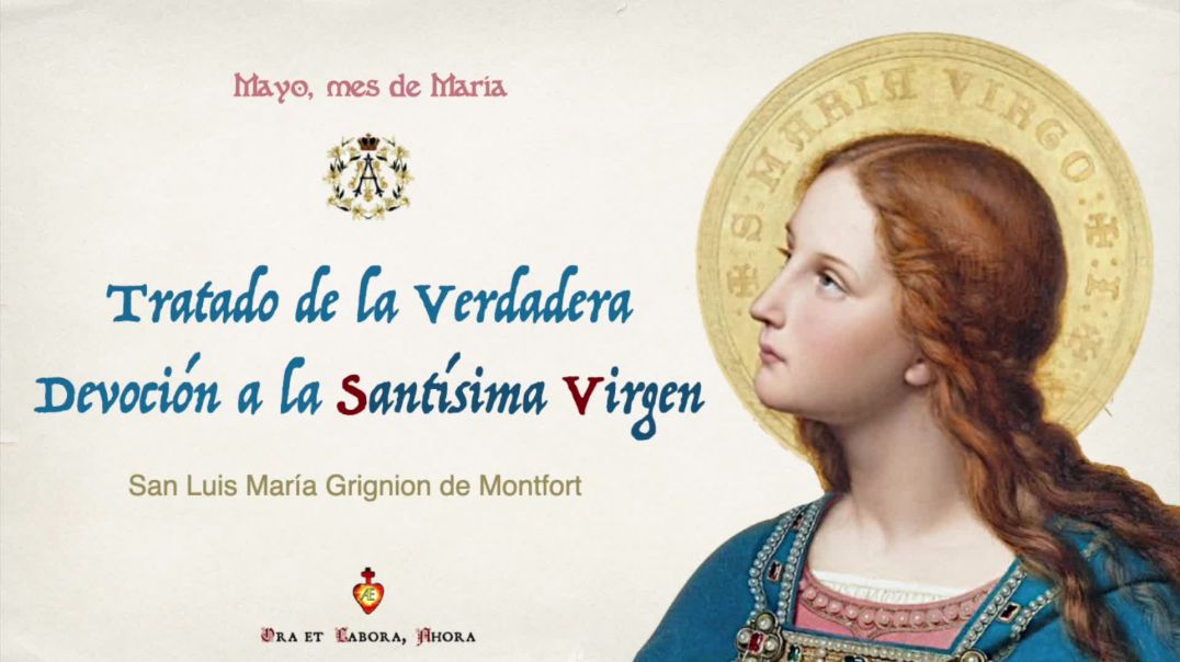 ⁣Cap 3º - Tratado de la Verdadera Devoción a la Santísima Virgen - San Luis María Grignion de Montfort