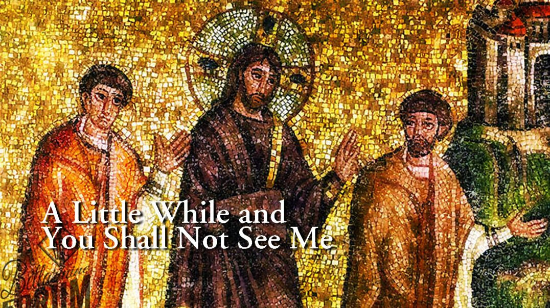 A Little While and You Shall Not See Me – Fr. Robert Morey