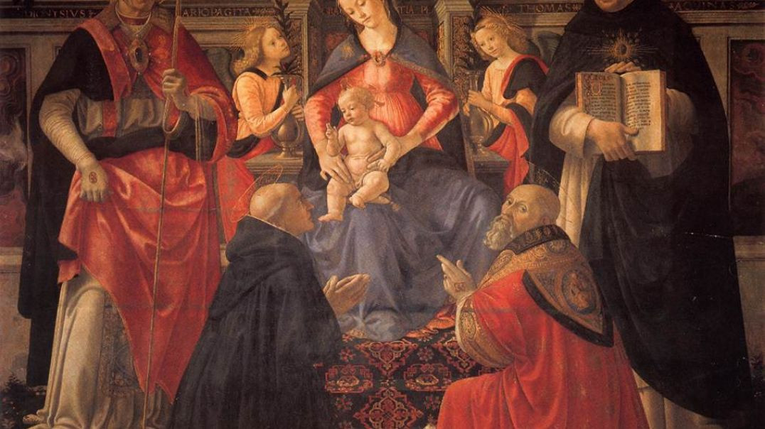 ⁣On Mediation of the Blessed Virgin Mary