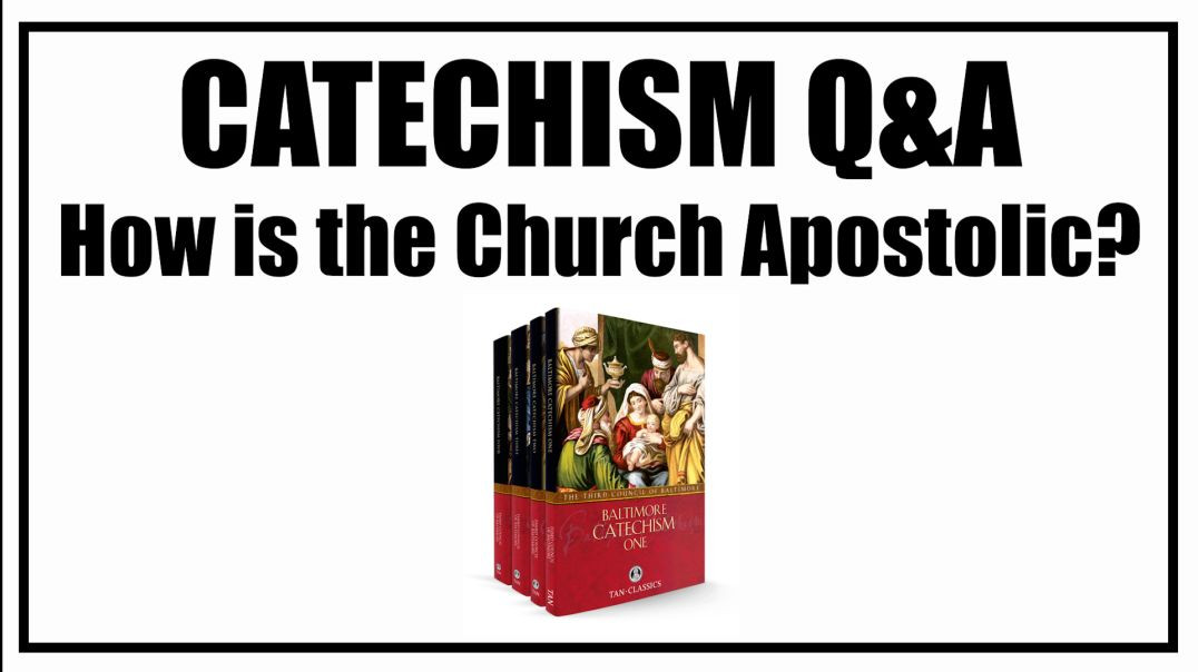 ⁣How is the Church Apostolic? Lesson 12: Baltimore Catechism Q&A