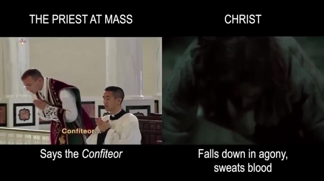 MassConversions: Explanation of Christ and the Priest at Holy Mass