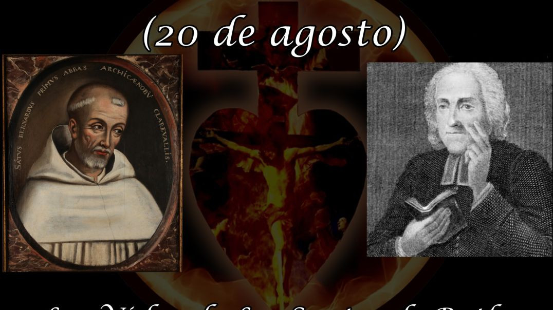 San Bernardo (20 de agosto) ~ Las Vidas de Los Santos de Butler