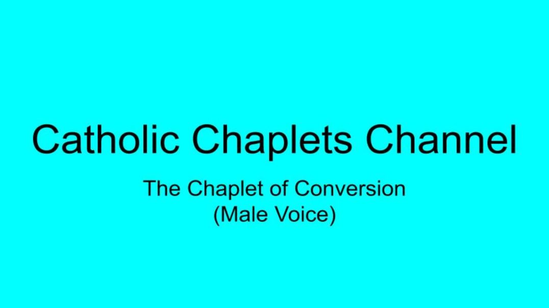 ⁣The Chaplet of Conversion (Male Voice)