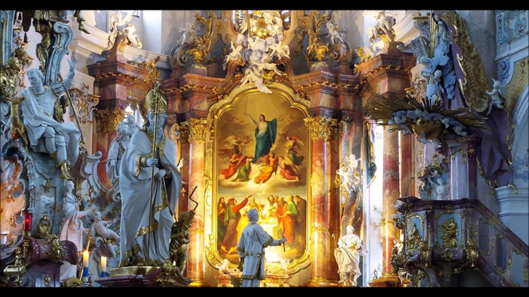 ⁣The Assumption: Preaching the Glories of Mary