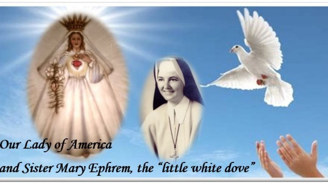 ⁣Our Lady of America and the Little White Dove