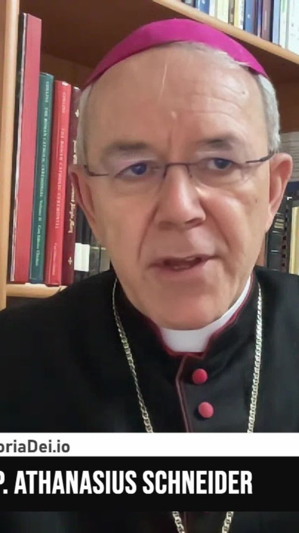 Bishop Athanasius Schneider answers Fr. Altman on Pope Francis #Shorts #Reels