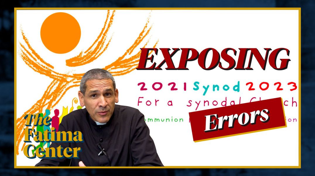 ⁣Father Breaks Down the 7 MAJOR ERRORS in the Upcoming 2023 Synod
