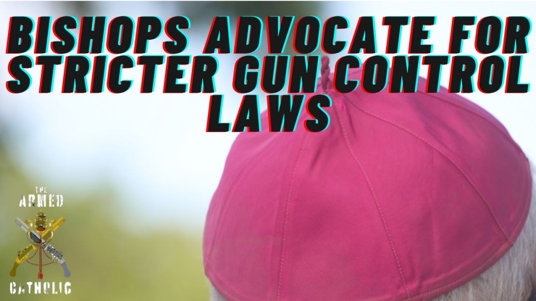 ⁣Catholic Bishops Advocate for Stricter Gun Control Laws in Domestic Violence Cases