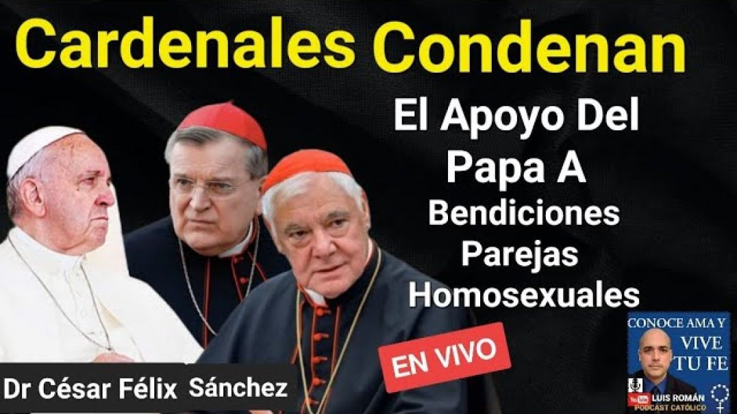 ⁣Cardenales Condenan Apoyo Del Papa A Bendiciones Contra NATURA Dubia César Félix Sánchez _Luis Román