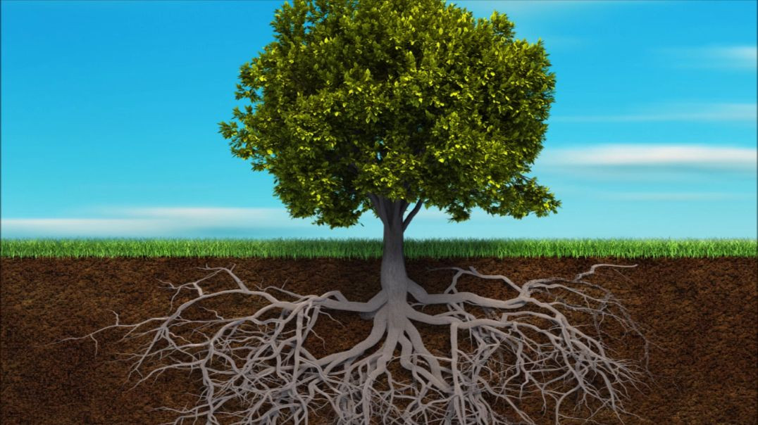 ⁣Prayer: The Roots Need to Grow Deep