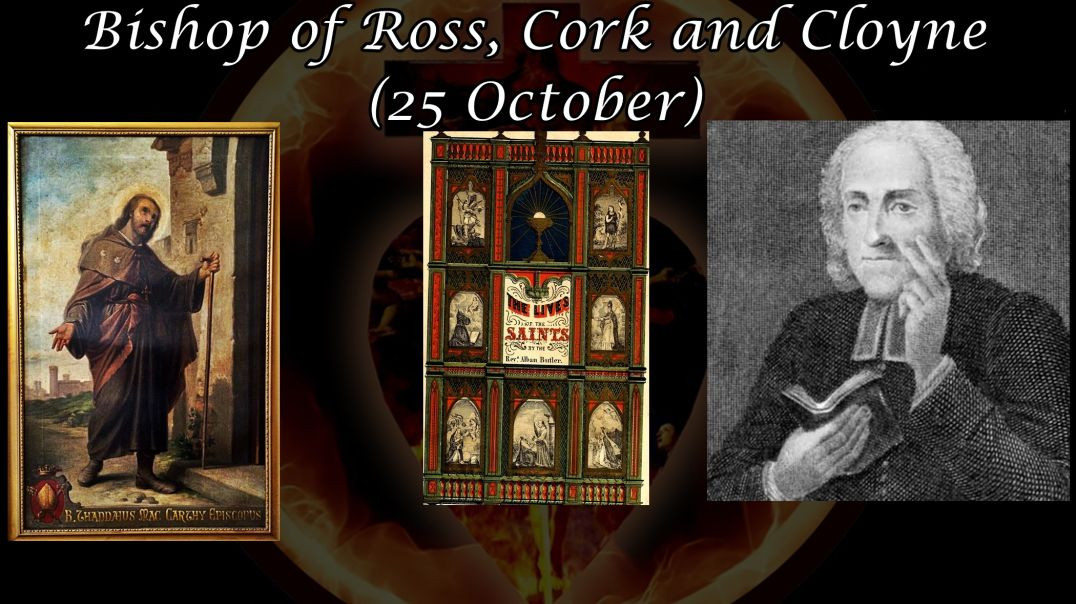 Bl. Thaddeus MacCarthy, Bishop of Ross, Cork and Cloyne (25 October): Butler's Lives of the Saints