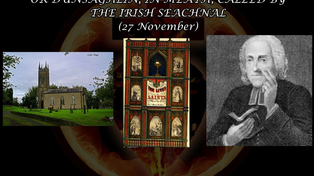 ⁣Saint Secundinus of Ireland (27 November): Butler's Lives of the Sain