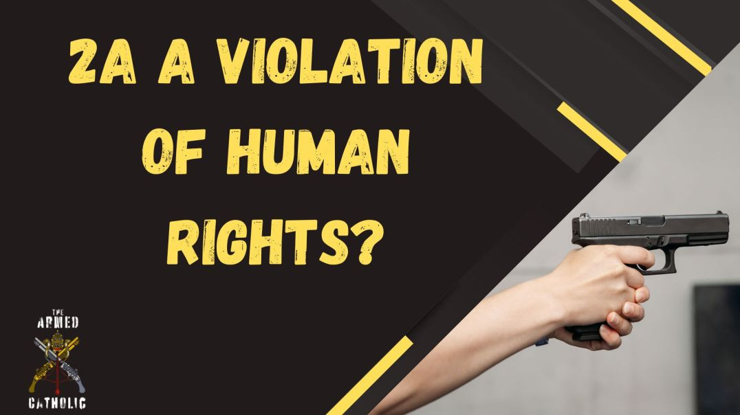 ⁣THIS Is Why Gun Control Activists Believe Second Amendment Violates Human Rights