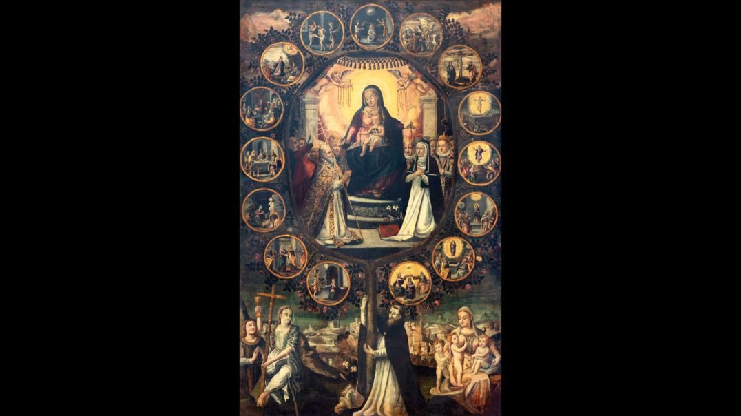 ⁣The Holy Rosary: The Marian Thread of Protection for the Church & Society ~ Fr. de Malleray, FSSP