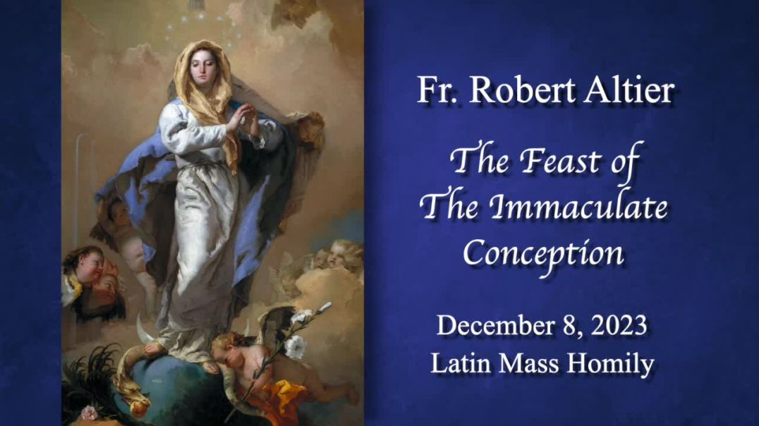 ⁣The Feast of The Immaculate Conception