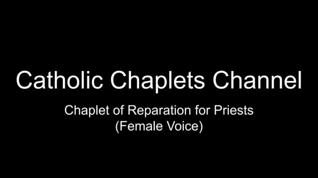 ⁣Chaplet of Reparation for Priests (Female Voice)