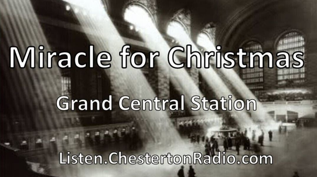 ⁣Miracle for Christmas - Grand Central Station