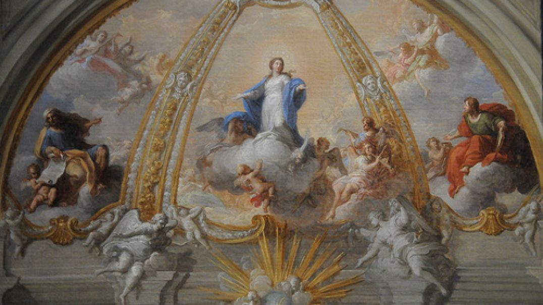 ⁣Immaculate Conception: If You Haven't Fallen it's Because of the Grace of God