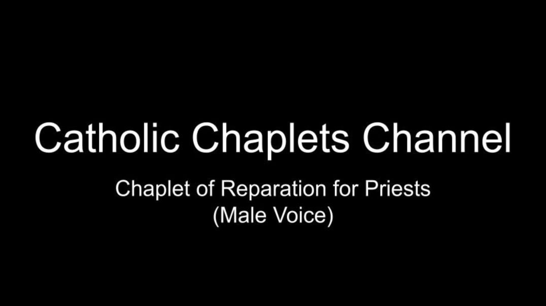 ⁣Chaplet of Reparation for Priests (Male Voice)