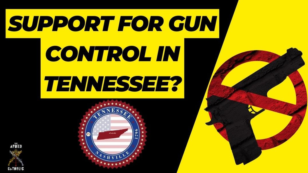 ⁣Tennessee Residents Share Thoughts on Gun Control in New Poll