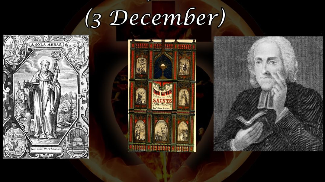 ⁣St. Sola, Hermit (3 December): Butler's Lives of the Saints
