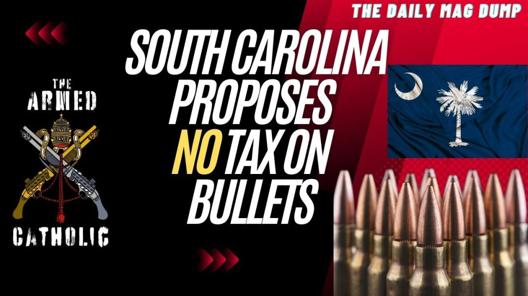 ⁣Understanding the Push to Remove Sales Tax on Certain Ammunition In South Carolina!
