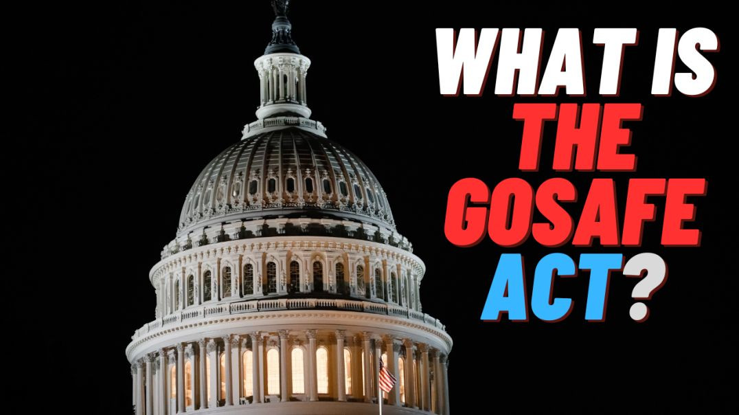 ⁣Exploring the Details of Democrats' GOSAFE Proposal