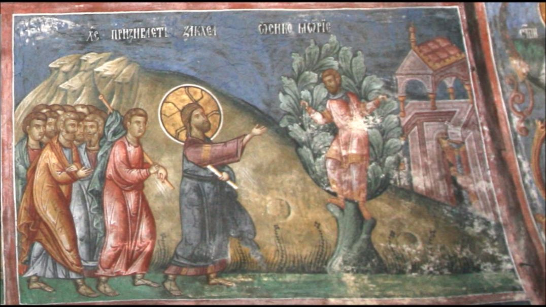 Sunday of Zaccheus: God Wants to Abide With Us