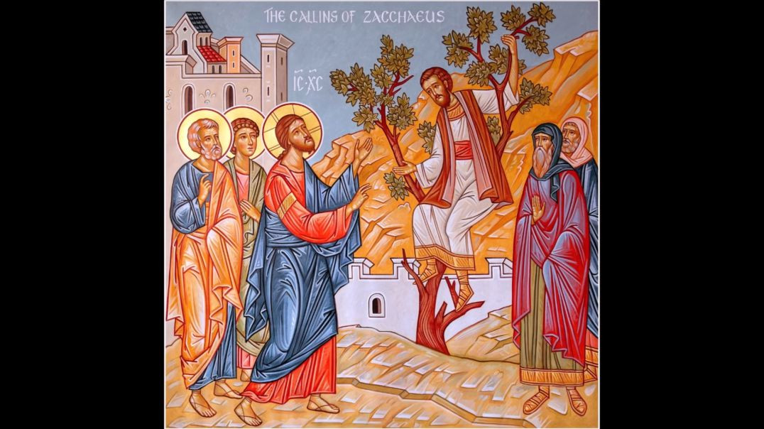 ⁣Sunday of Zacchaeus: Desire, We Have to Want the Lord