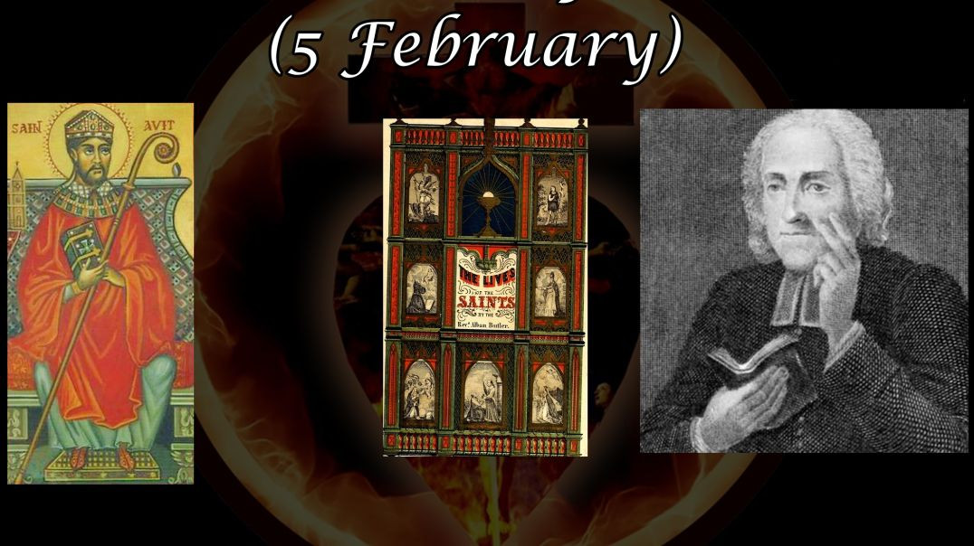 ⁣Saint Avitus of Vienne (5 February): Butler's Lives of the Saints